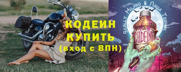 индика Балахна