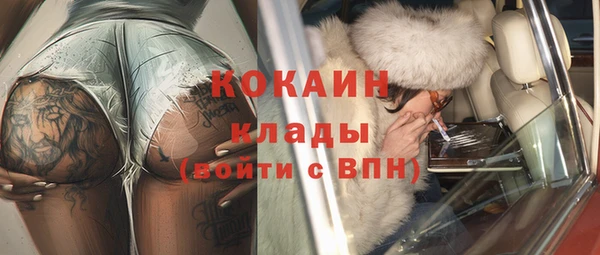 индика Балахна
