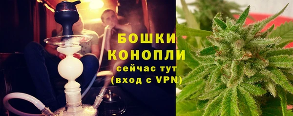 гидра Баксан