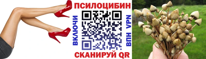 Псилоцибиновые грибы мицелий  Заринск 